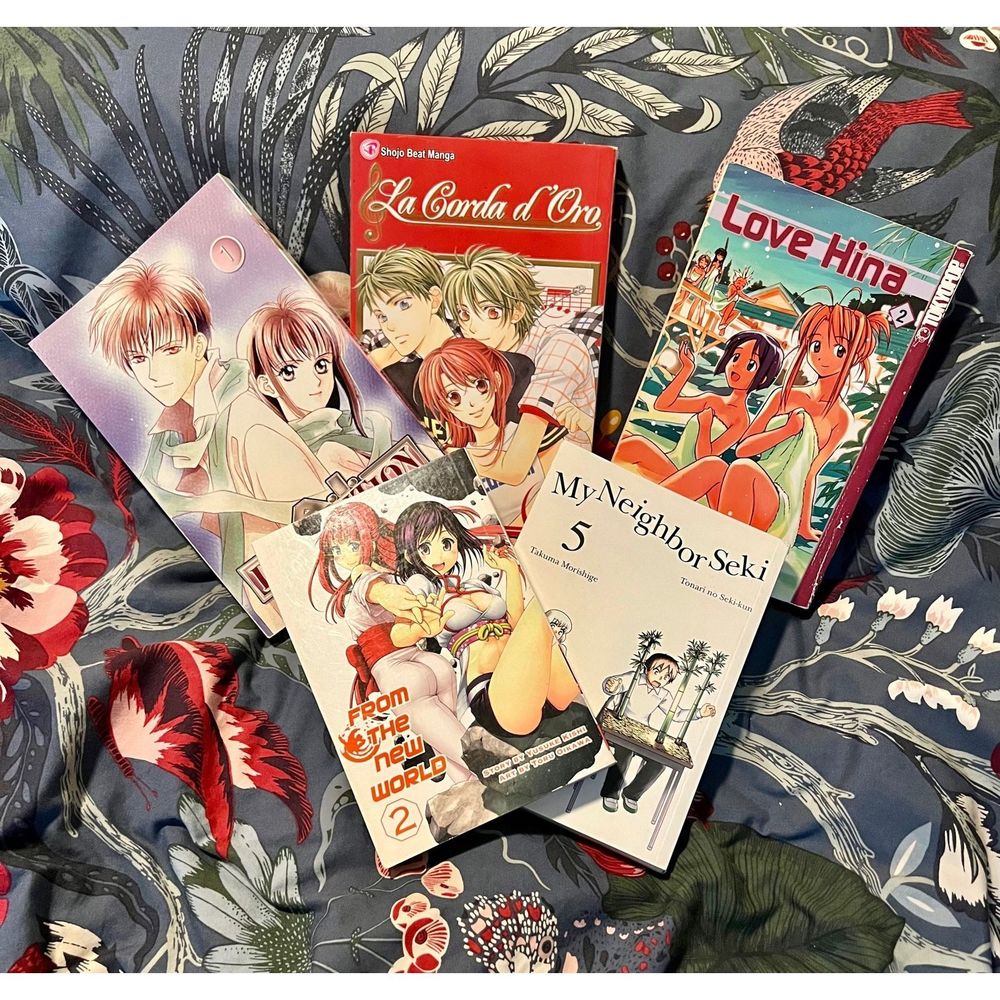 Manga Lot